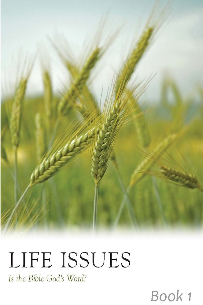 Life Issues Booklets - Image 2