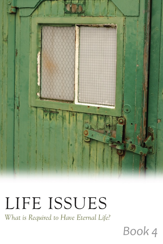 Life Issues Booklets - Image 5
